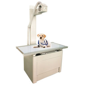 Veterinary X-ray Table